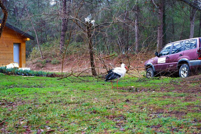 Day Tour of Berat and Karavasta Lagoon from Tirana&Durres - The Real Experience: What Travelers Say
