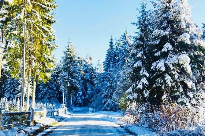 Day Tour: Ski Borovets & Relax in Thermal Pools and Sauna - Key Points