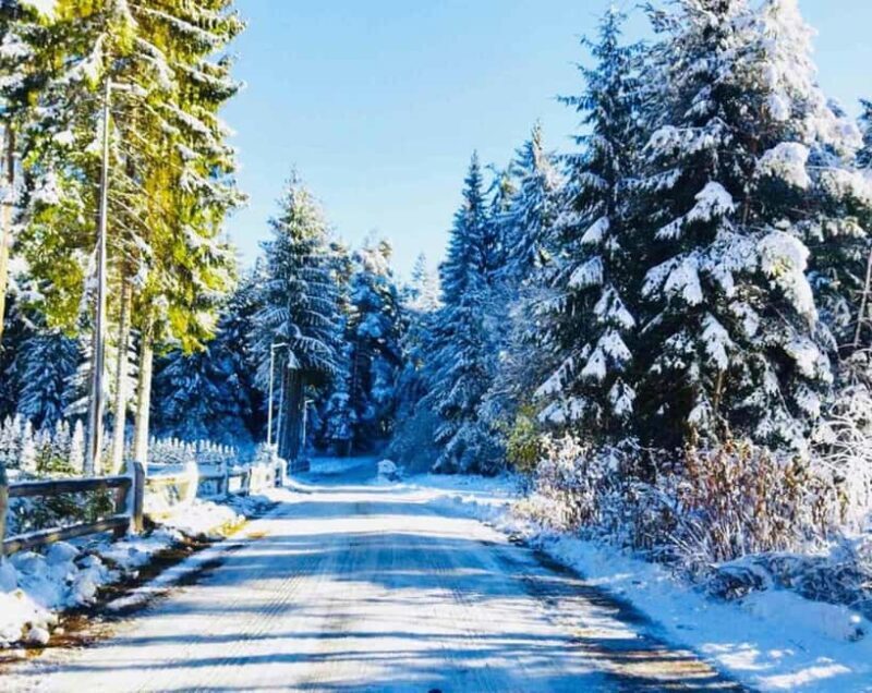 Day Tour: Ski Borovets & Relax in Thermal Pools and Sauna - Key Points