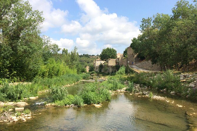 Day Tour to Lagrasse village and Fontfroide Abbey.Private tour from Carcassonne. - Value for Money