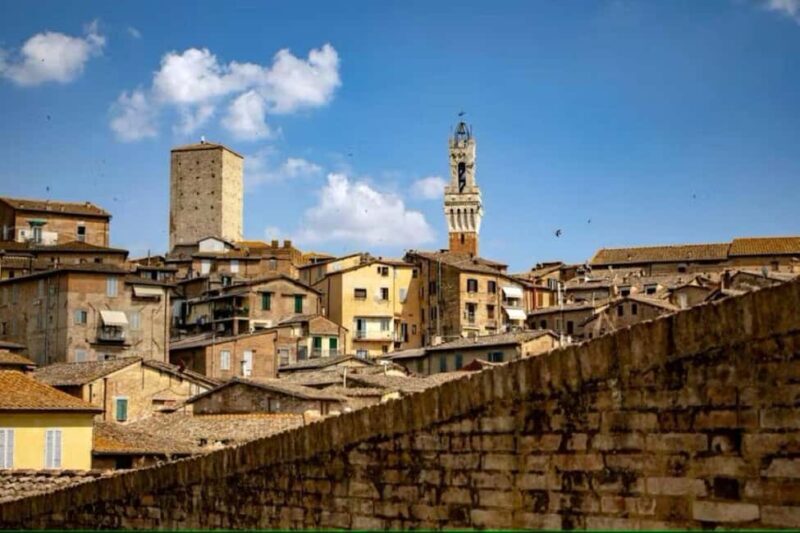 Day tour to Siena and San Gimignano from Florence - Who Should Consider This Tour