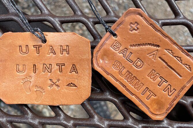 Day Trip Activity at Utah Mountain Backcountry with Box Lunch - The Experience’s Drawbacks and Considerations