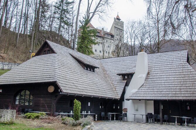 Day Trip Bear Sanctuary, Bran Castle, Rasnov Fortress from Brasov - The Itinerary in Detail: What to Expect