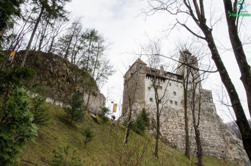 Day trip Bran Castle, Rasnov Fortress and Bear Sanctuary - Exploring the Highlights: What You’ll See and Experience