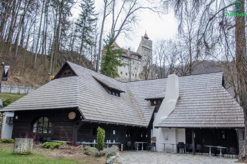 Day trip Bran Castle, Rasnov Fortress and Bear Sanctuary - Who Should Consider This Tour?