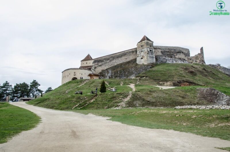 Day trip Bran Castle, Rasnov Fortress and Bear Sanctuary - FAQ