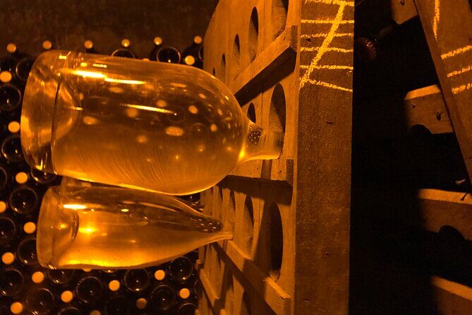 Day trip by van in Champagne small group of 8 - Practical Considerations