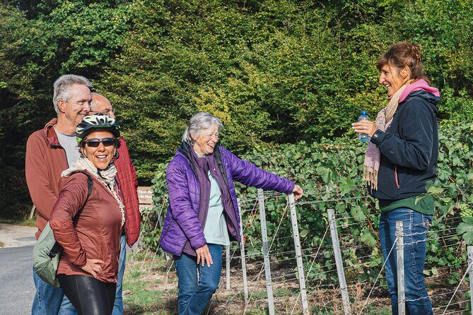 Day trip by van in Champagne small group of 8 - FAQs