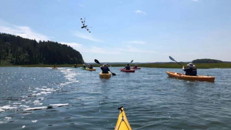 Day Trip from Boston: Guided Kayak at the Crane Estate - Key Points