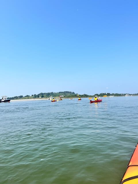 Day Trip from Boston: Guided Kayak at the Crane Estate - Everything You Need to Know About the Crane Estate Guided Kayak Tour