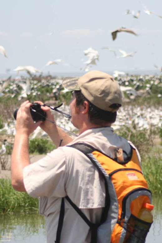 Day Trip from Boston: Guided Nature Walk at Crane Estate - Final Thoughts: Who Should Consider This Tour?