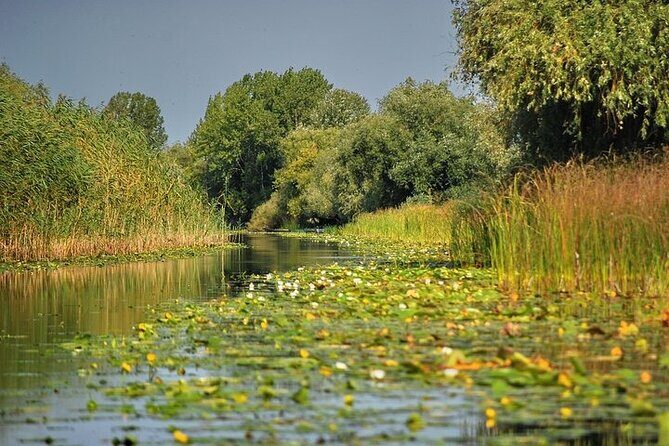 Day Trip from Bucharest to Danube Delta - Key Points