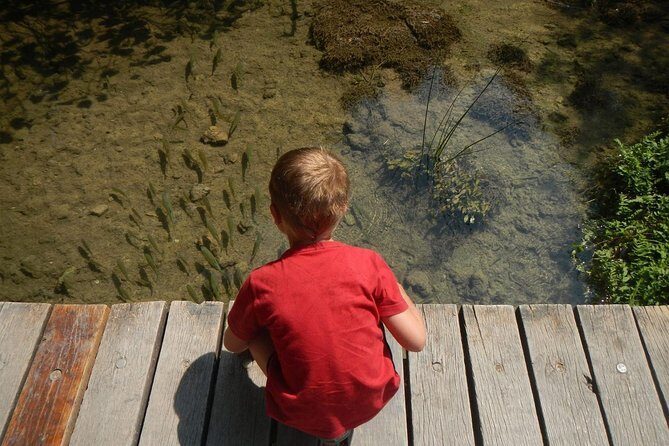 Day Trip from Dubrovnik to Krka waterfalls - Discover the Beauty of the Krka Waterfalls on a Day Trip from Dubrovnik