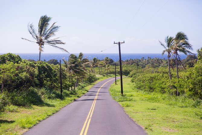 Day Trip from Oahu to Hilo: Volcano Adventure - FAQs