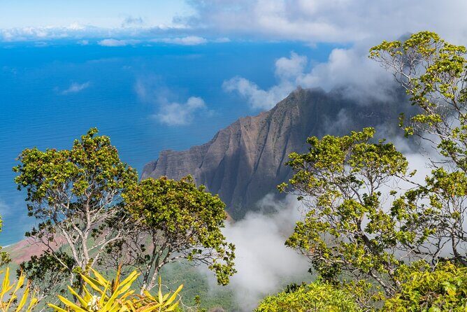 Day Trip from Oahu to Kauai: Highlights & Movie Sites - An In-Depth Look at the Experience