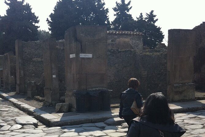 Day trip from Rome to Pompei Mt Vesuvius & Local Guide included - The Bottom Line
