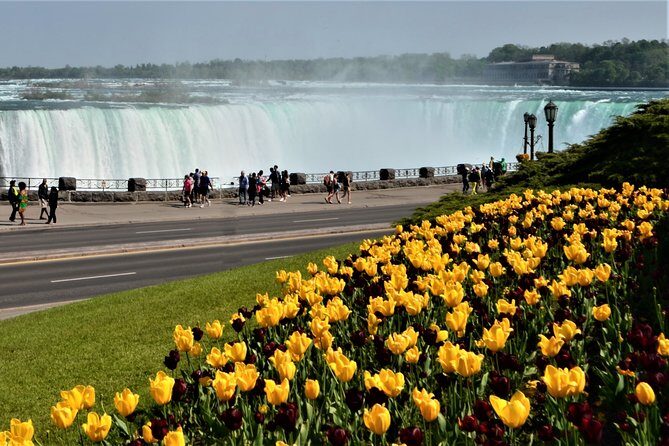 Day-Trip from Toronto to Niagara Falls with skip-the-line boat - The Full Experience: What’s Included and What to Expect