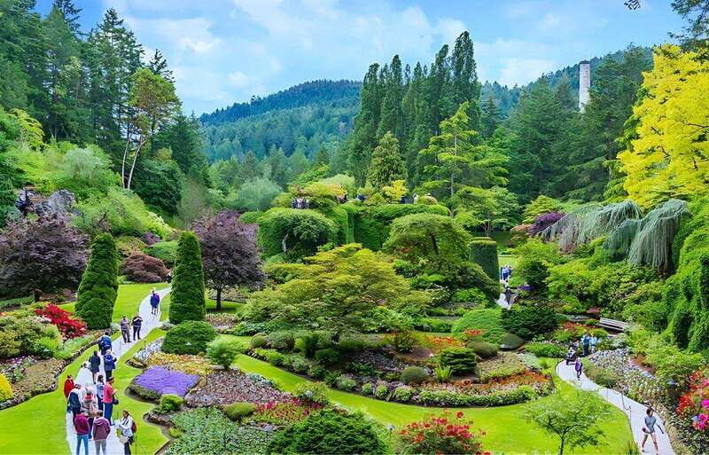 Day Trip from Vancouver to Victoria and Butchart Gardens - What Do Past Travelers Say?