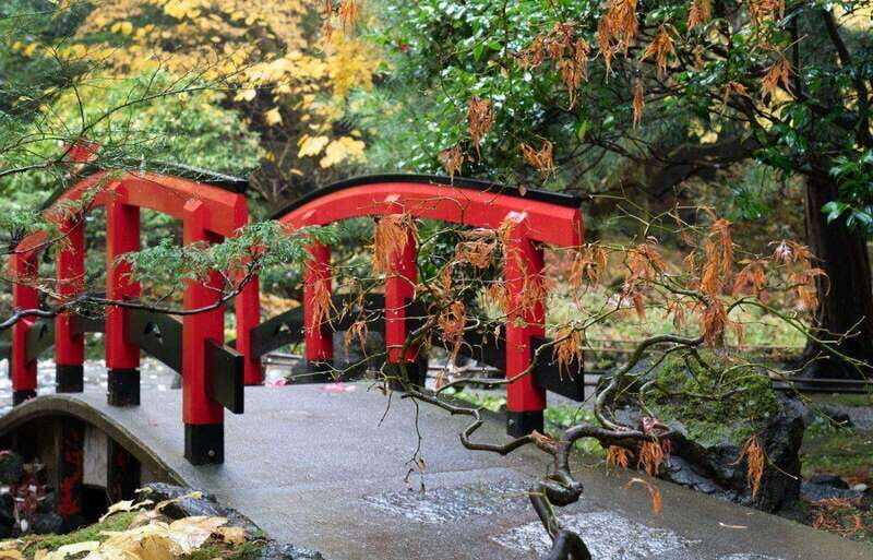 Day Trip from Vancouver to Victoria and Butchart Gardens - The Sum Up