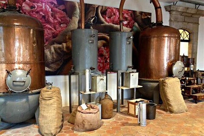 Day Trip: Guided tour of Monaco and Eze, sightseeing . - The Transport, Group Size, and Overall Value