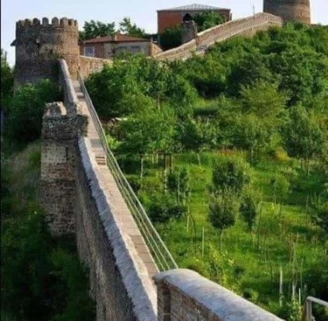 Day trip in Kakheti-Beauty and Love in a Glass Wine - Practical Details & Tips