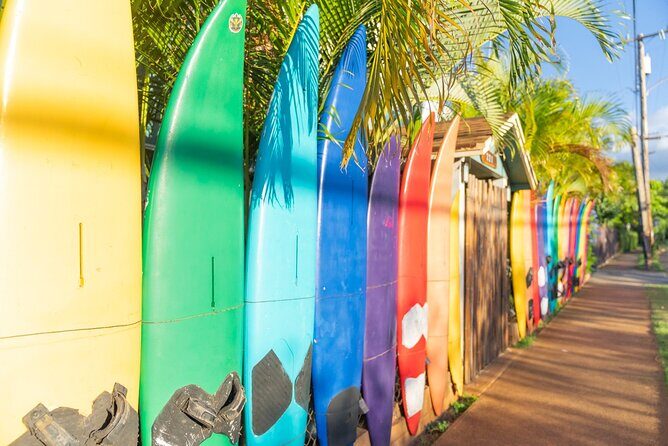 Day Trip Oahu to Maui: Sips, Sites and Bites - A Detailed Look at the Tour Experience