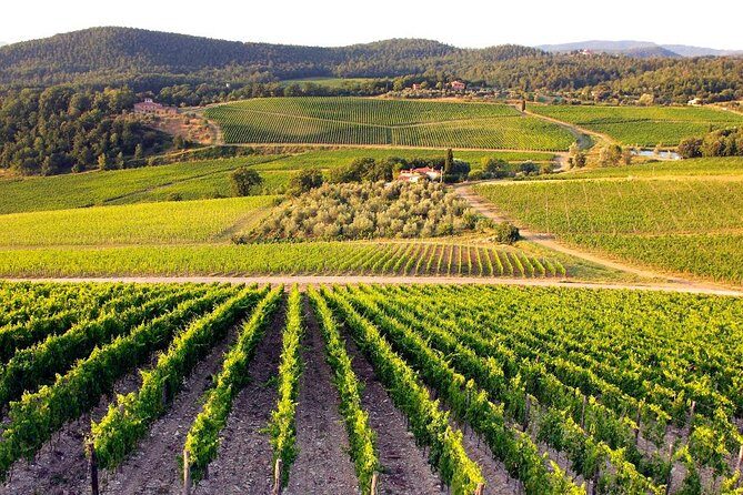 Day Trip Pisa, Siena, San Gimignano. - How the Tour Works: An Inside Look