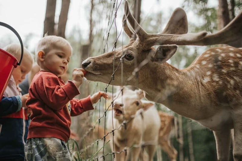 Day trip Riga - Sigulda, the 'Switzerland of Latvia' - FAQs