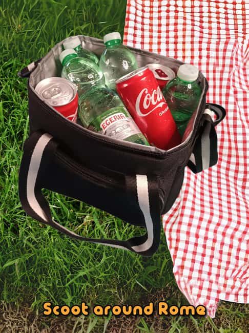 Day trip Rome by car : Tivoli Unesco Villa D'este & Hadrian - Who Would Love This Tour