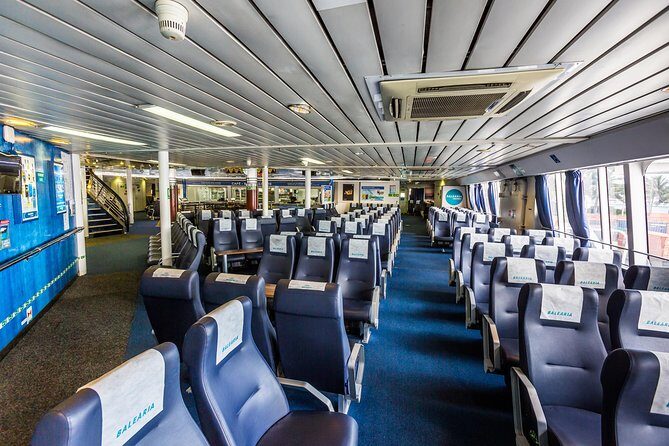 Day Trip to Bimini, Bahamas - Ferry Tickets - Who Should Consider This Trip?