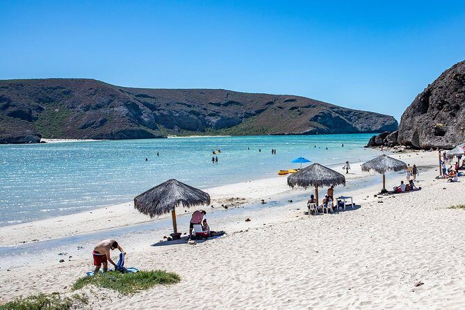Day Trip to La Paz & Balandra Beach from Cabo San Lucas - What to Expect on This Full-Day Adventure