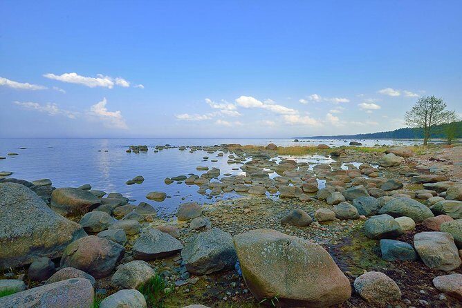 Day Trip to Lahemaa National Park - Why Choose This Tour?