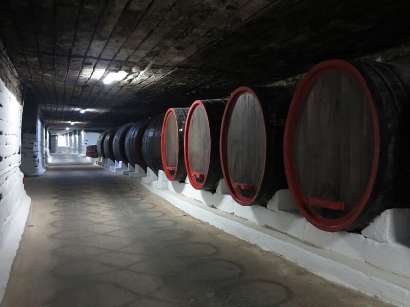 Day trip to Moldova - visit Chisinau and Cricova Winery - Exploring Moldova in a Day: What to Expect