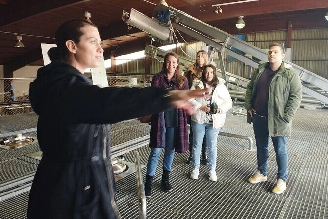 Day Trip to Nemea Winery & Nafplio - Final Thoughts