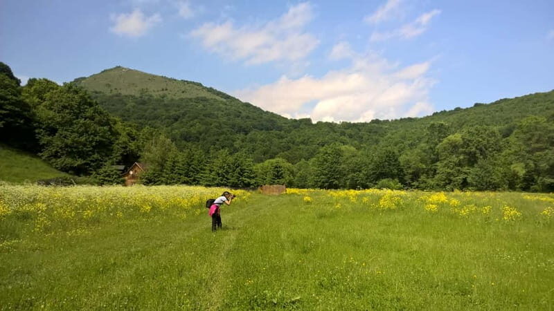 Day Trip to the Land of Hidden Caves - Key Points