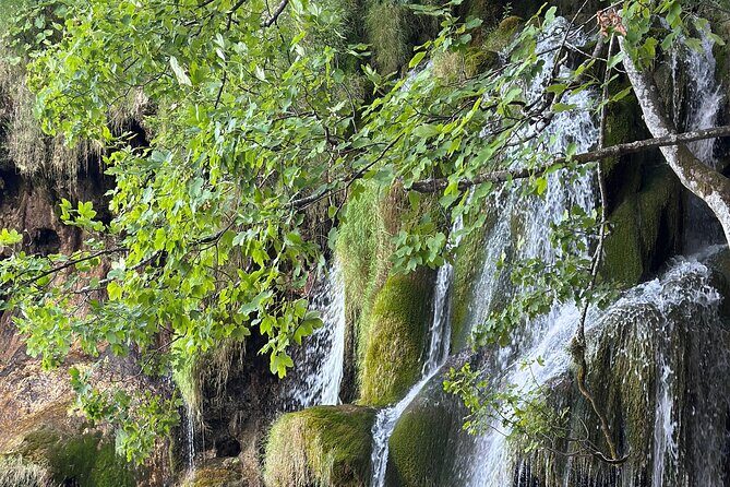 Day trip to the Plitvice Lakes incl. admission and lunch - Key Points