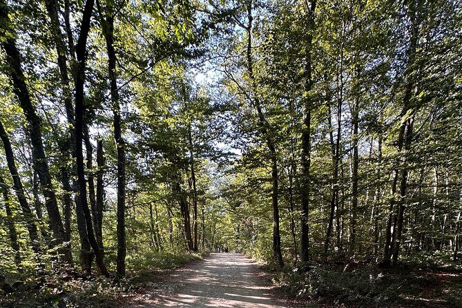 Day trip to the Plitvice Lakes incl. admission and lunch - FAQ