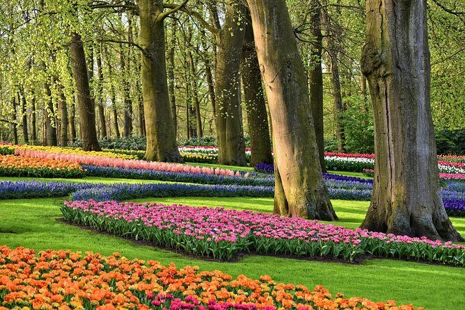 Day Trip To Tulip Gardens Of Keukenhof From Amsterdam: Private & Personalized - An In-Depth Look at the Tour