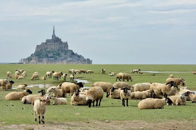 Day Trip with a local driver Mont Saint Michel from Saint Malo 6h - FAQ: Practical Questions Answered
