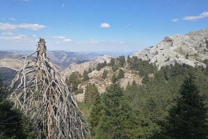 Dayhikes with pick-up from Marbella and Estepona - What to Expect from the Experience