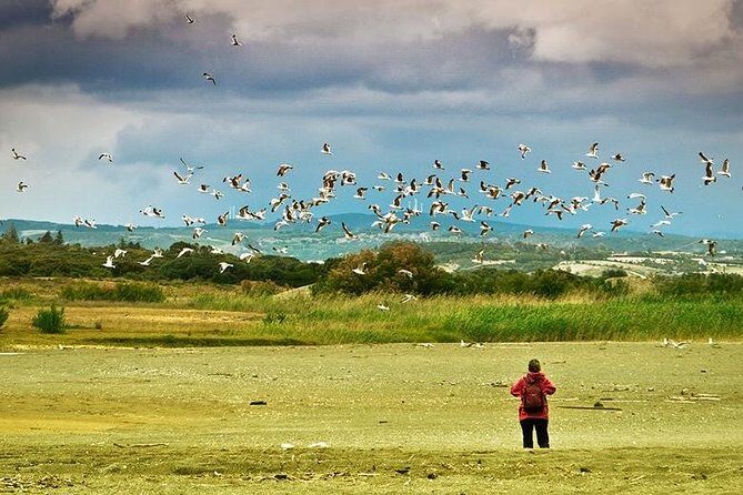 Dayhikes with pick-up from Marbella and Estepona - Final Thoughts