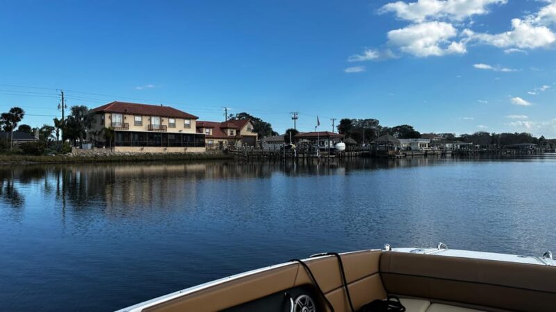 Daytona Beach: Coastal Discovery Cruise - Wildlife Encounters