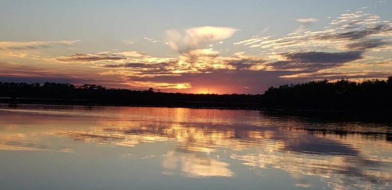 Daytona/New Smyrna Beach: Unforgettable Kayak Wildlife tours - What This Kayak Tour Offers