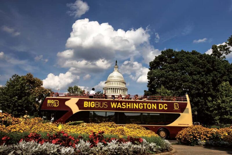 DC: Hop-on Hop-off, Arlington Walking Tour, and Night Tour - The Basic Structure of the Tour