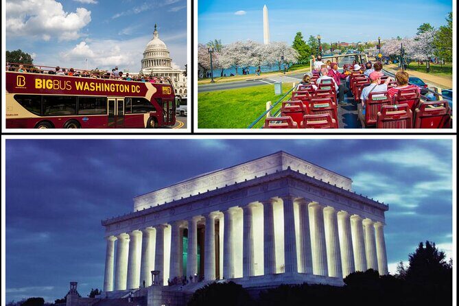 DC: Hop-on Hop-off Bus, Arlington Walking Tour, and Night Tour - Who Is This Tour Best For?