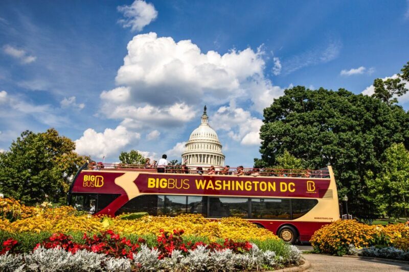 DC: Hop-On Hop-Off with 17 Stops plus Arlington Walking Tour - Final Thoughts