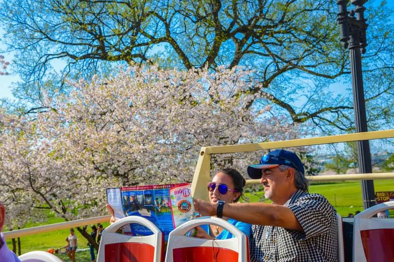 DC: Hop-On Hop-Off with 17 Stops plus Arlington Walking Tour - Bike rental perk: a good match for DC’s flatter areas