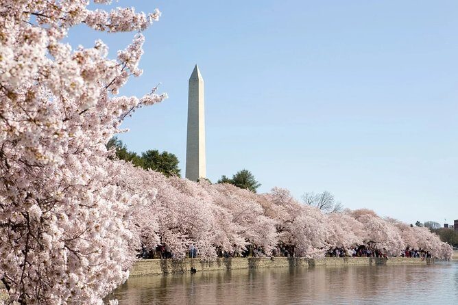 DC Presidential Sightseeing Bus Tour with U.S. Capitol Grounds - Final Thoughts: Is This Tour Right for You?