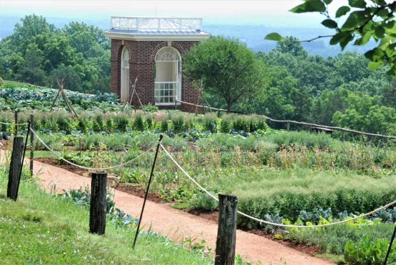 DC: Private Day Trip to Thomas Jeffersons Monticello Estate - What to Expect on the Trip
