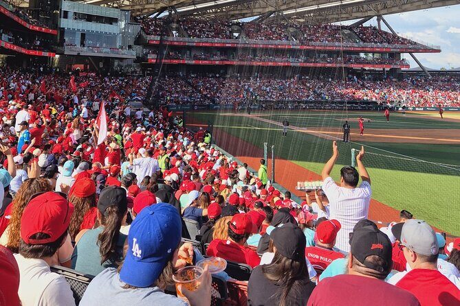 DE DE Baseball match day experience in DE Mexico City - Key Points